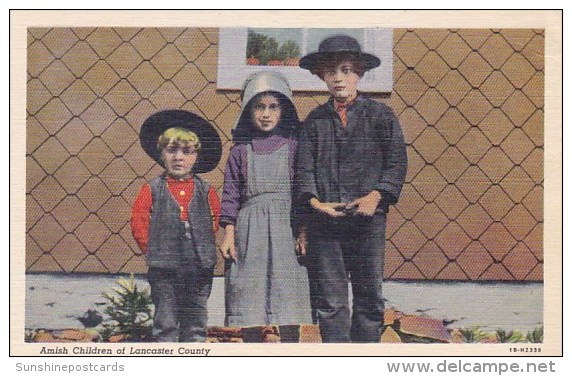 Amish Childern Of Lancaster County Pennsylvania 1951 - Lancaster