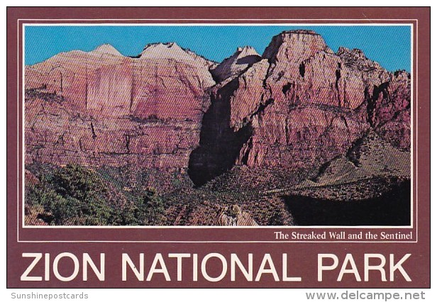 The Streaked Wall And The Sentinel Zion National Park Utah - Zion