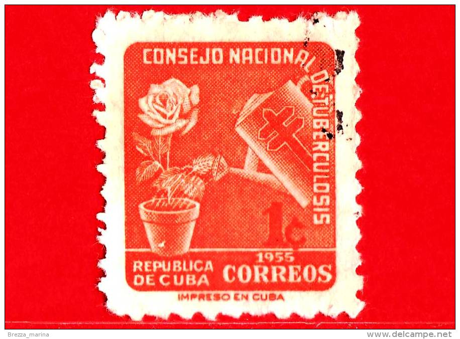 CUBA - Usato - 1955 - Tasse Postali - Rosa E Annaffiatoio - Tubercolosi - 1 ¢ - Oblitérés