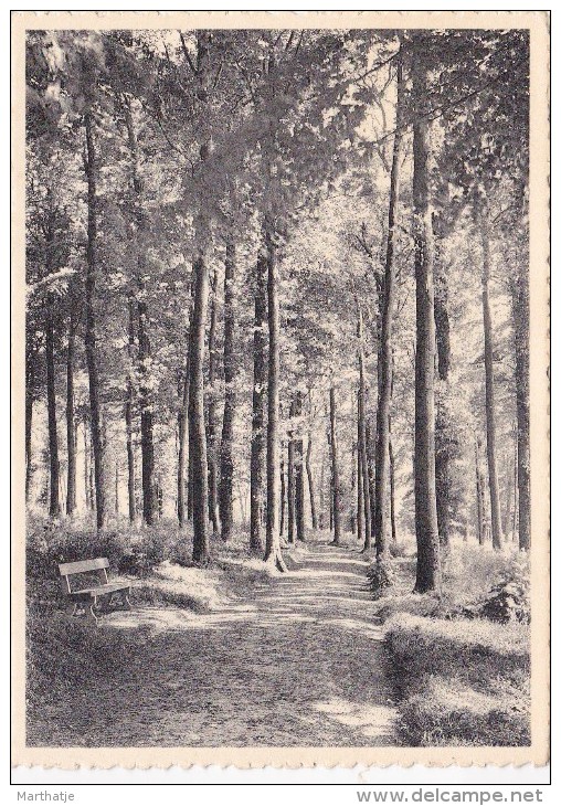 Maison De Cure Et De Repos Charles De Hemptinne à Jauche (Brabant)-Parc Et Promenade - Orp-Jauche