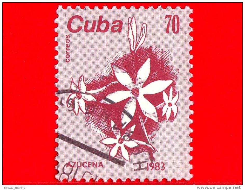 CUBA - Nuovo Oblit.  - 1983 - Piante ( Flora ) - Fiori - Zucchero - Saccharum - 70 - Neufs