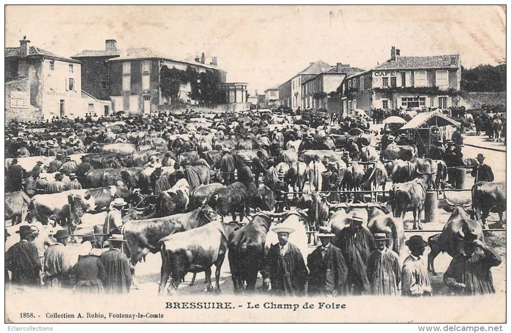 Bressuire   79    Le Champs De Foire  Marché Aux Vaches - Bressuire