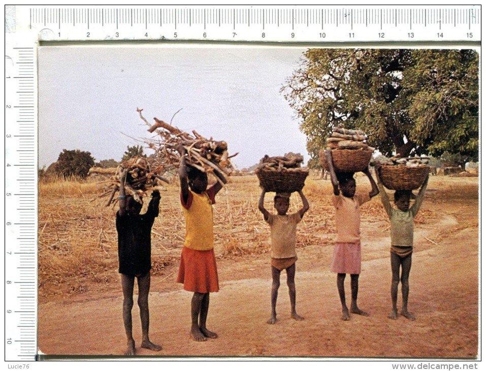 BURKINA  FASO   -   Des Enfants Portent Le  Bois - Burkina Faso