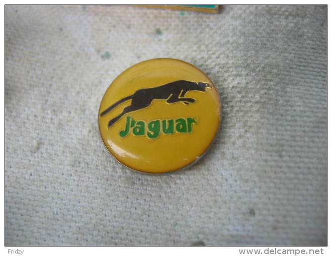 Pin´s Embleme Des Véhicules JAGUAR - Jaguar