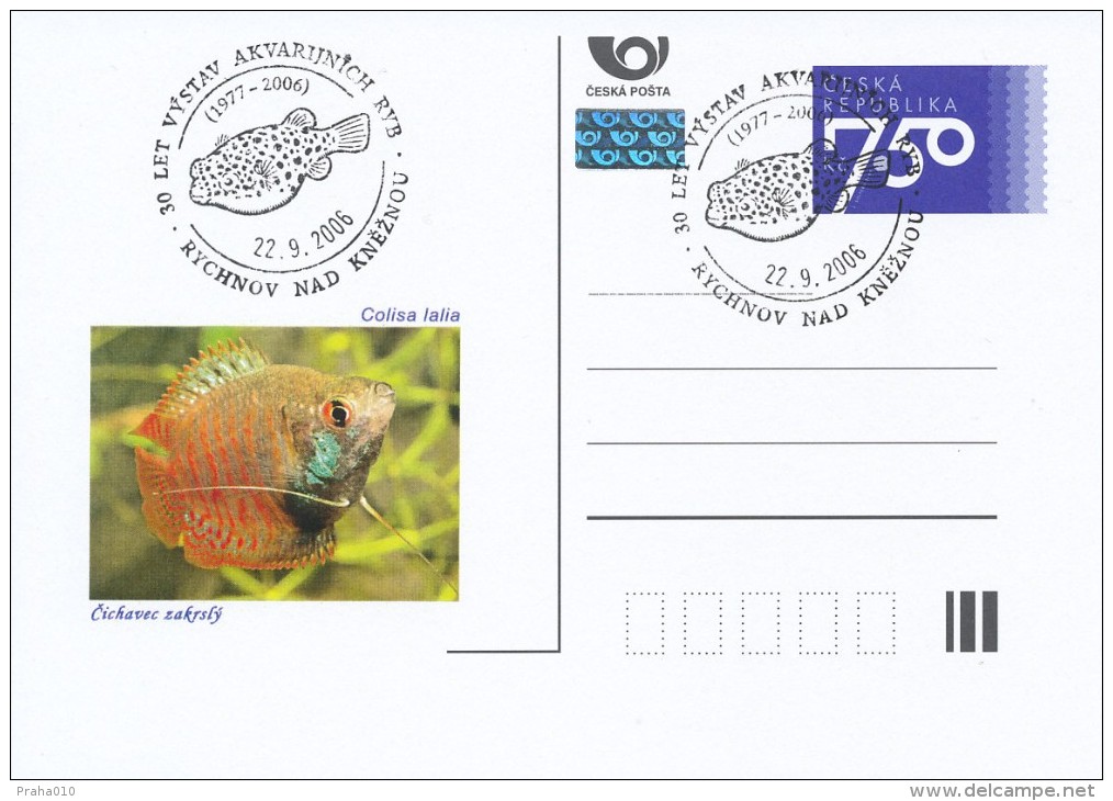 Czech Rep. / Postal Stat. (Pre2006/43cp) Aquarium Fish: Colisa Lalia - Commemorative Postmarks - Cartes Postales