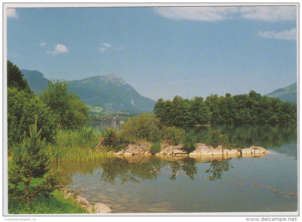 Schwyz-Lac De Lauerz-Lowertzer See-unused,perfect Shape - Lauerz
