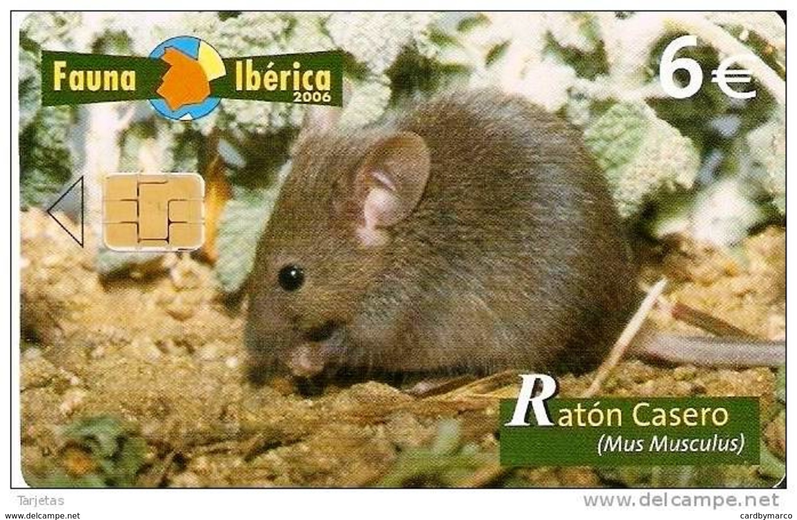 *SPAGNA - FAUNA IBERICA: RATON CASERO* - Scheda Usata - Emissioni Di Base