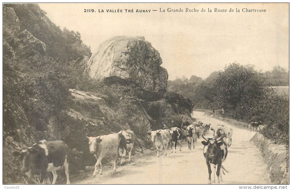 56 La Vallée TRE AURAY - La Grande Roche De La Route De La Chartreuse - Troupeau De Vaches - Auray