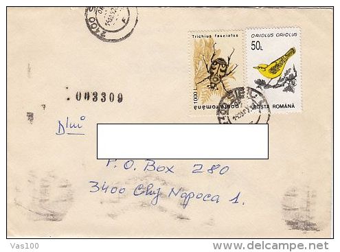 BEETLE, ORIOLE BIRD, STAMPS ON COVER, 1997, ROMANIA - Covers & Documents