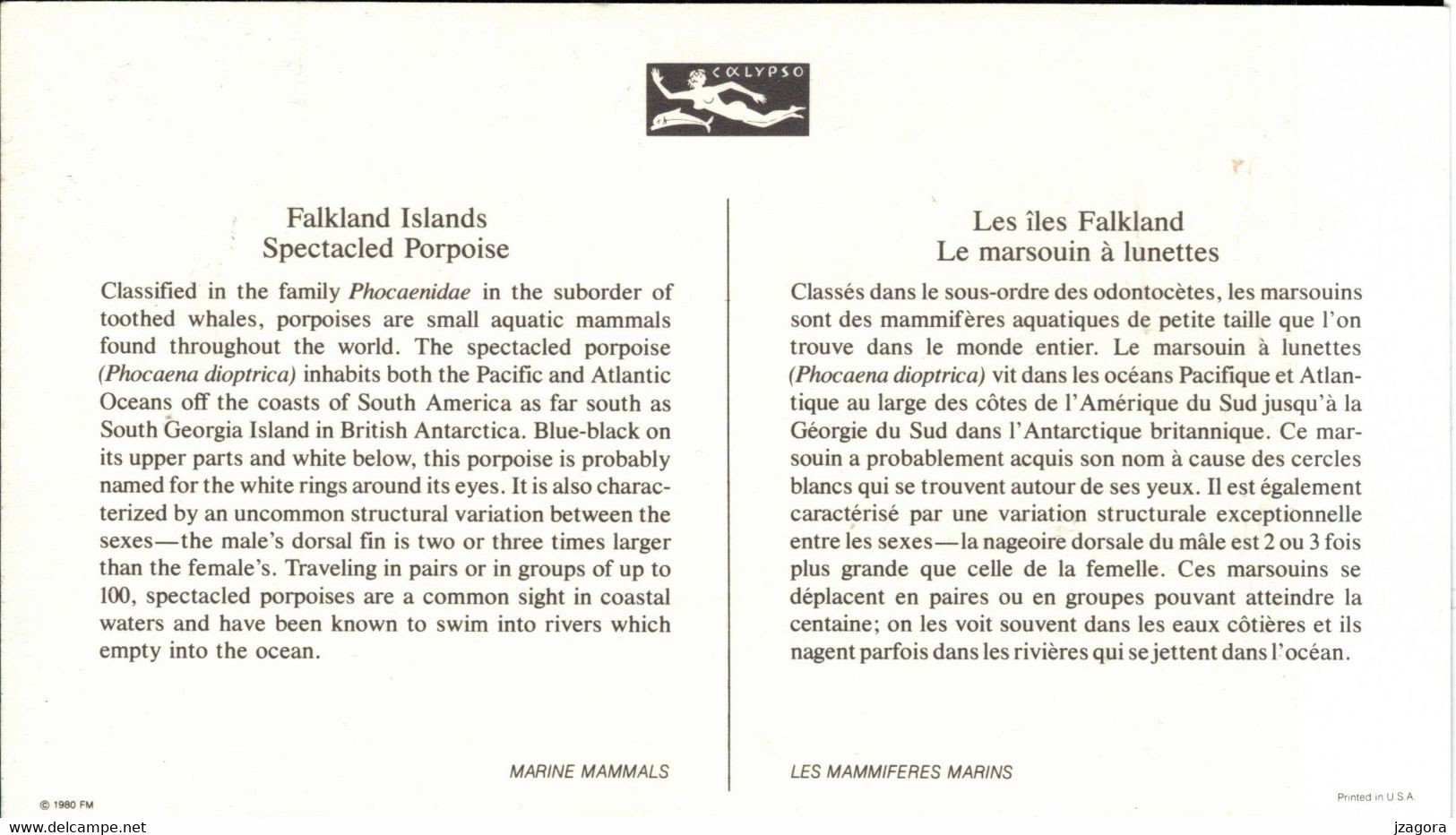 MARINE MAMMALS WHALES WHALE WAL VAL - PORPOISE - FALKLAND ISLANDS 1980 Cousteau Society  FDC Card - PHOCAENIDAE - Baleines