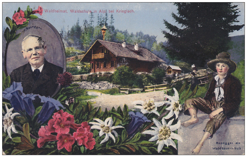 WALDHEIMAT, Colorful Flowers, Waldschuin In Alps Bel Krieglach, Austria, 00-10s - Other & Unclassified