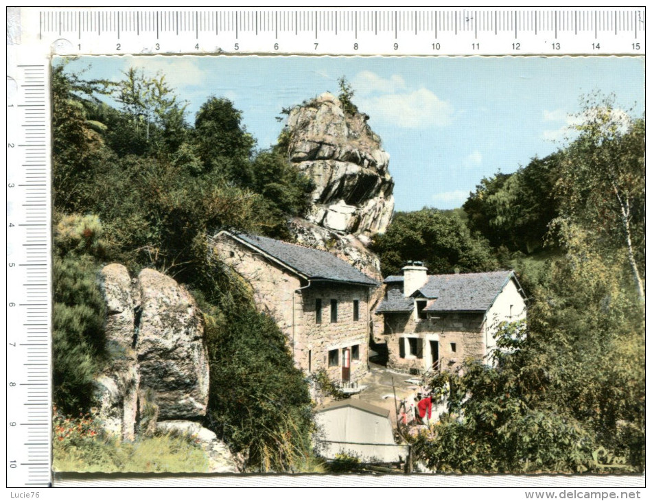 ST ALBAN SUR LIMAGNIOLE  -   Rocher Du  Franquet Et Maisons Des Eclaireurs De France - Saint Alban Sur Limagnole