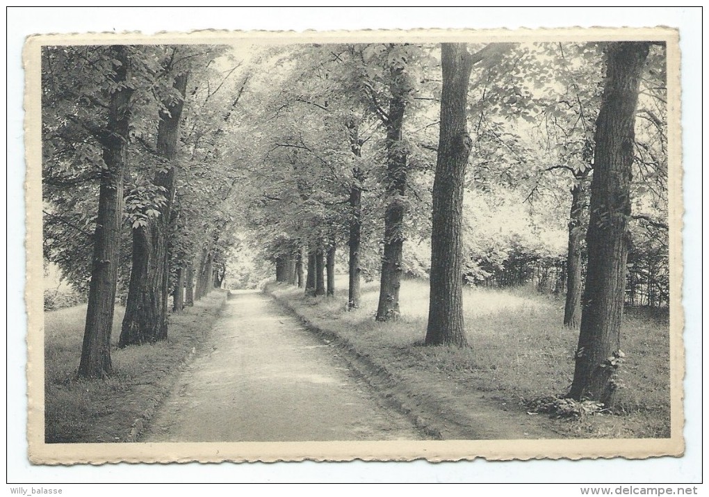 Carte Postale - WOLUWE ST LAMBERT - Parc Communal - ST LAMBRECHT WOLUWE - CPA   // - Woluwe-St-Lambert - St-Lambrechts-Woluwe