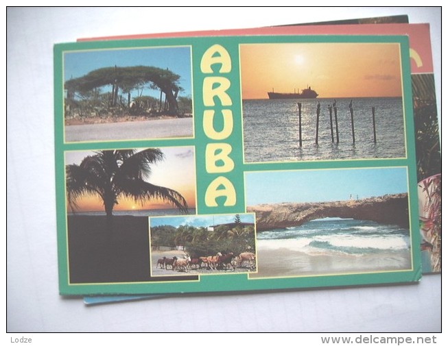 Aruba Nice Island - Aruba