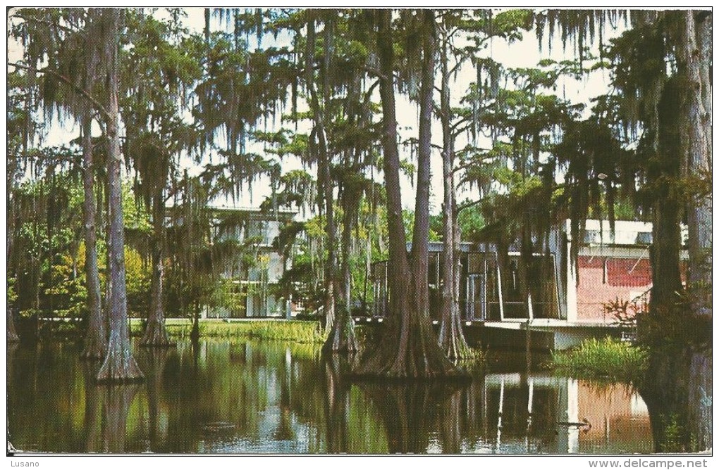 CYPRESS LAKE - University Of Southwestern Louisiana - Campus - Lafayette - Autres & Non Classés