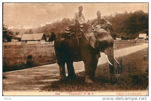 Postcard RA001699 - Elephant - Elephants