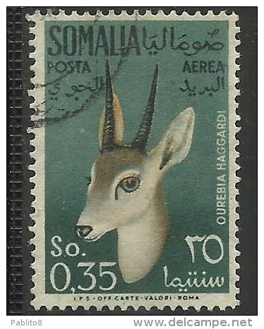 SOMALIA AFIS 1955 POSTA AEREA ANIMALI AIR MAIL ANIMALS FAUNA OUREBIA HAGGARDI CENT. 35 USATO USED OBLITERE' - Somalia (AFIS)