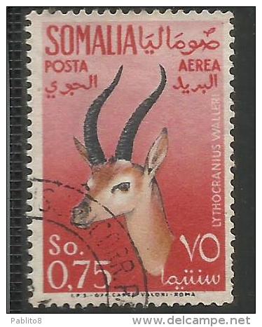 SOMALIA AFIS 1955 POSTA AEREA ANIMALI AIR MAIL ANIMALS FAUNA LYTHOCRANIUS WALLERI CENT. 75 USATO USED OBLITERE´ - Somalia (AFIS)