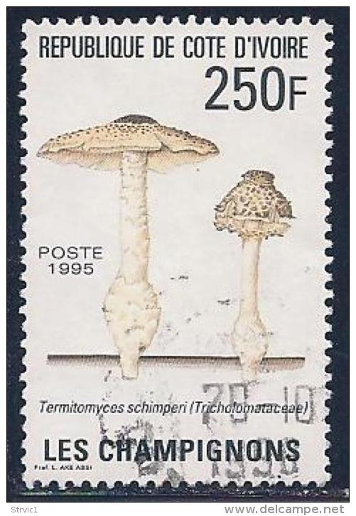 Ivory Coast, Scott # 978 Used Mushrooms, 1995 - Ivory Coast (1960-...)