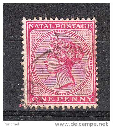 Natal   -   1882-89.    Queen Victoria. One  Penny  Rose - Natal (1857-1909)