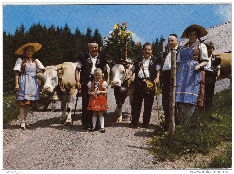 Verte Gruyère, La Poya, Montée à L'alpage / Collection De Six Cartes Magnifiques - Other & Unclassified