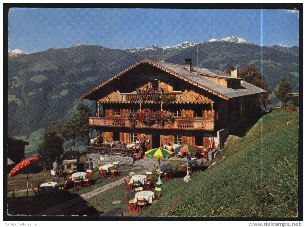 Zell Im Zillertal-tirol-alpengasthof Enzianhof-used,perfect Shape - Zillertal