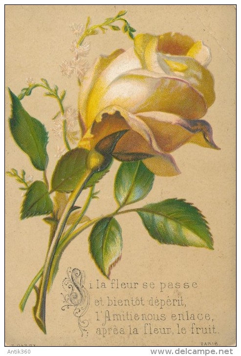 Image Pieuse * Chromo Si La Fleur Passe... Rose Jaune Gaufrée Carte De Voeux Illustrée Par Garry - Andachtsbilder