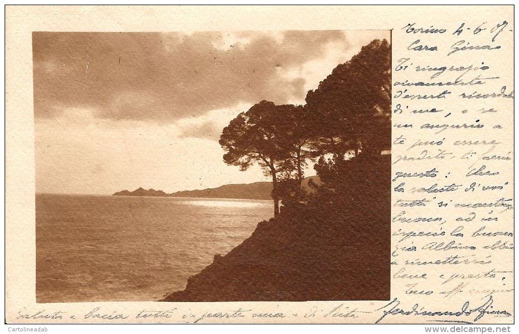 [DC5945] CARTOLINA - MARE O LAGO? ALBERI - Viaggiata - Old Postcard - Non Classificati