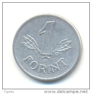 UNGHERIA  1 FORINT  ANNO 1977 - Hongrie