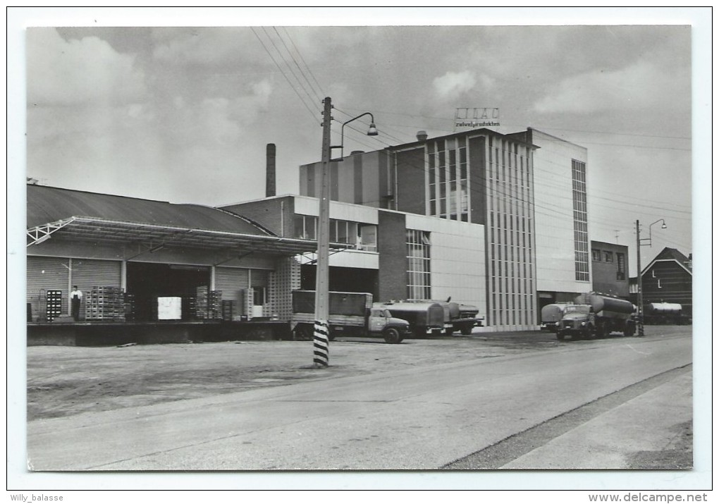 Carte Postale - ZONHOVEN - S.V.Lilac - CPA  // - Zonhoven