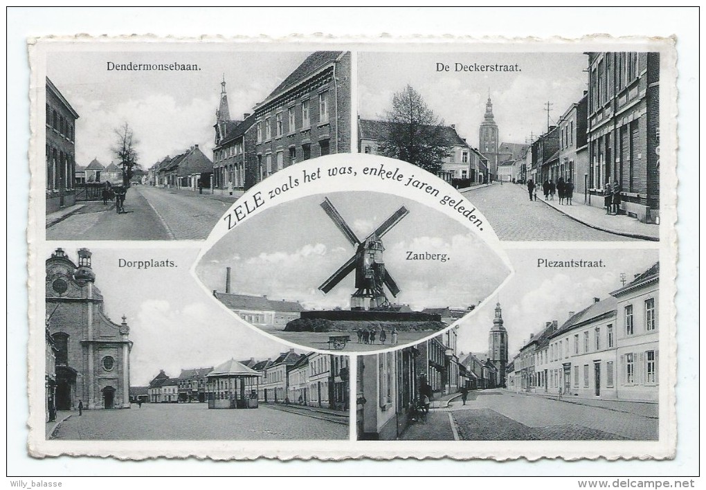 Carte Postale - ZELE - Multivues - Molen - CPA  // - Zele