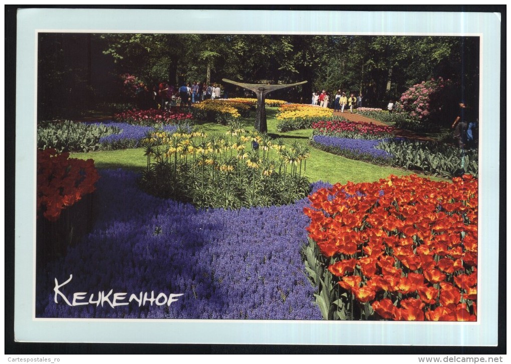 Lisse-Keukenhof-circulated,perfect Condition - Lisse