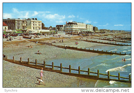 The Beach Worthing - Worthing