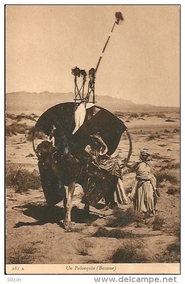 Postcard RA001706 - Camel Un Palanquin (Bassour) - África