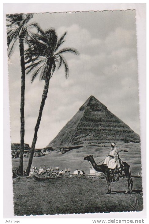 CPA PHOTO THE  CHEFREN PYRAMIDES (voir Timbres) - Pyramides