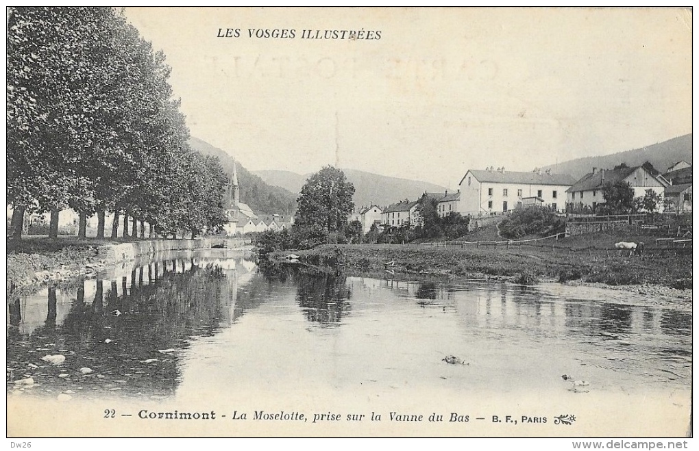 Cornimont - La Moselotte, Prise Sur La Vanne Du Bas - Carte B.F.k Non Circulée - Cornimont