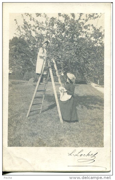 N°41365 -carte Photo La Cueuillette Des Fruits - Autres & Non Classés