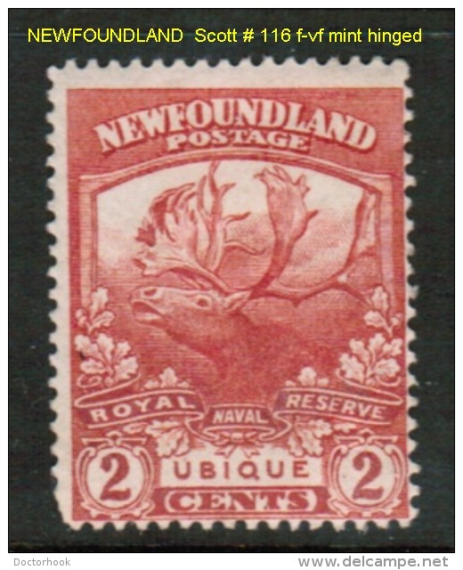 NEWFOUNDLAND    Scott  # 116* F-VF MINT HINGED - 1908-1947