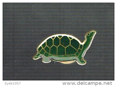 Tortue - Dieren