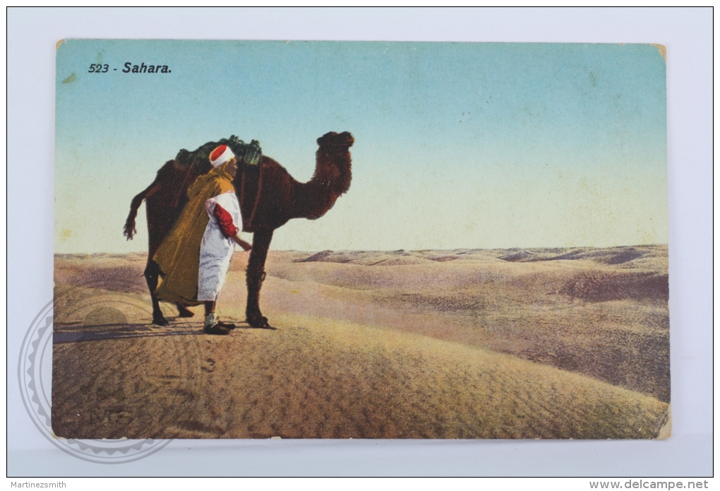 Old Postcard Sahara - Desert And Man With Camel - Westelijke Sahara