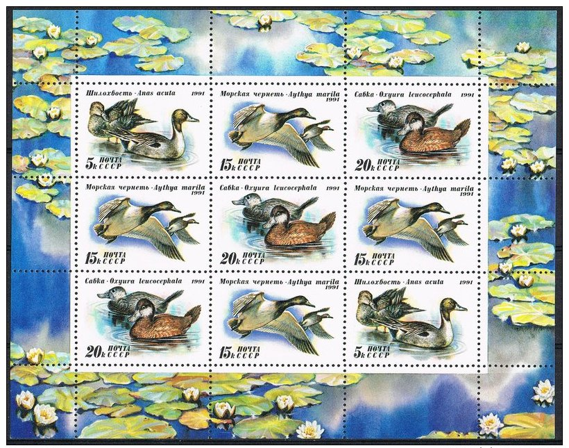 K677 FAUNA VOGELS BIRDS OISEAUX VÖGEL AVES EEND DUCK ENTE RUSSIA CCCP 1991 PF/MNH - Autres & Non Classés