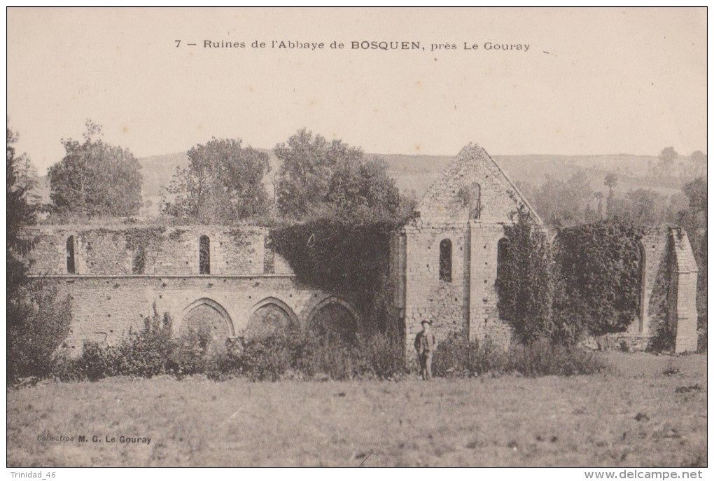 PLENEE JUGON 22 ( ABBAYE DU BOQUEN ) - Plénée-Jugon