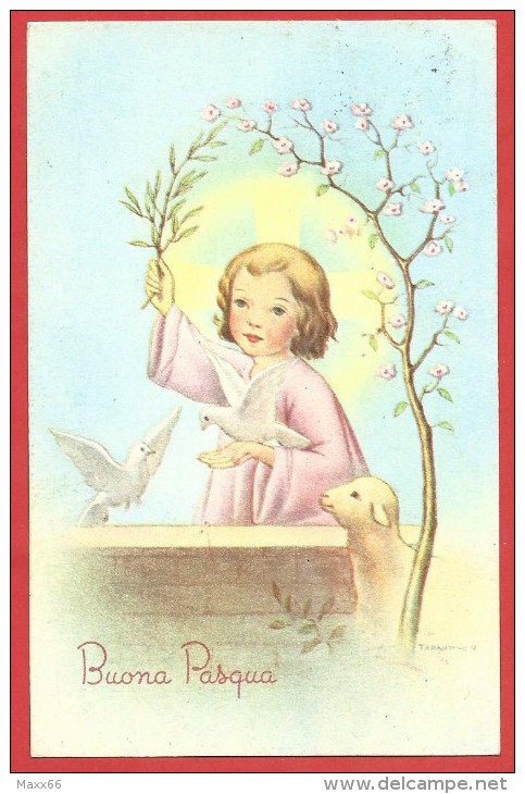 CARTOLINA VG ITALIA - BUONA PASQUA - Angioletto Con Colombe E Agnellino - Fiori - 9 X 14 - ANNULLO CUNEO 1960 - Pasqua