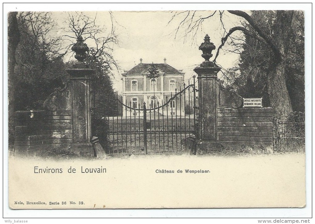 Carte Postale - Environs De Louvain - Château De WESPELAER - WESPELAAR - Kasteel - CPA  // - Haacht