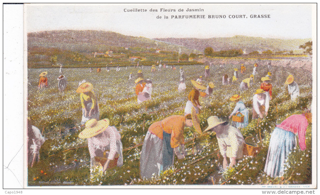 CARD PUBBLICITA' PARFUMERIE BRUNO COURT GRASSE (06) CUEILLETTE DES FLEURS DE JASMIN -FP-N-2 -0082-22283 - Unclassified