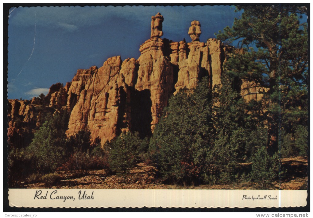Red Canyon-bryce Canyon-unused,perfect Shape - Bryce Canyon