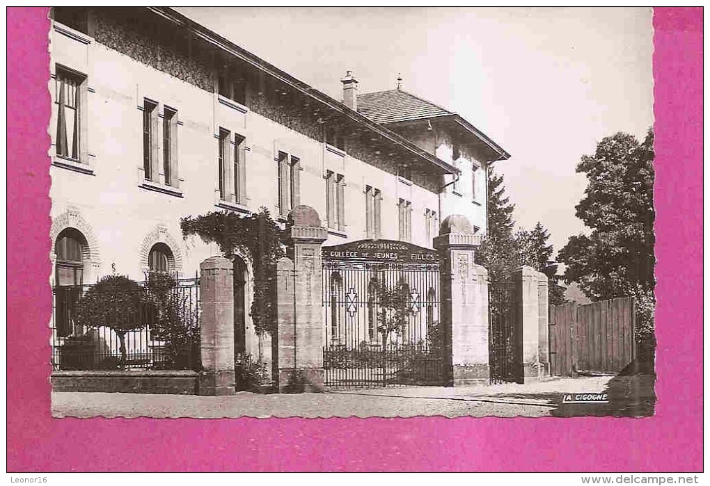 REMIREMONT  -  ** COLLEGE DE JEUNES FILLES 1914 **  -  Editeur : LA CIGOGNE   - N°33021 N Ou (88.383.72) - Remiremont