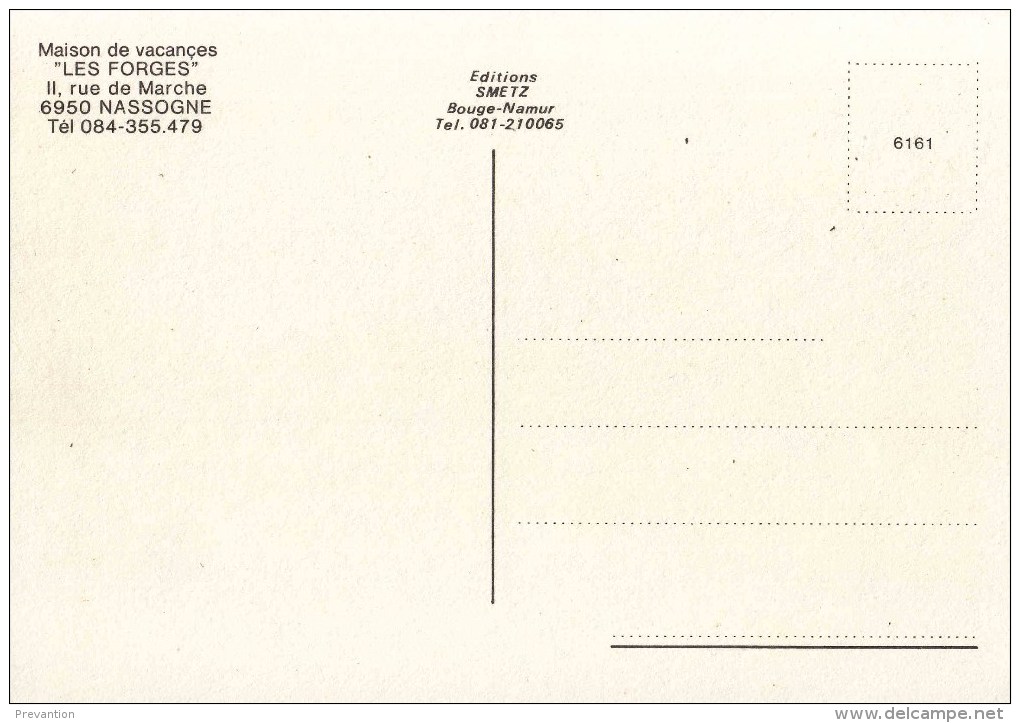 MAISON DE VACANCES - Les Forges 2, Rue De Marche, NASSOGNE - Carte Semi Moderne Couleur - Nassogne