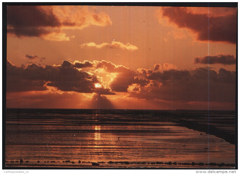 Aurich-Abendstimmung Am Wattenmeer Bei Norddeich-Norddeich-unused,perfect Shape - Aurich