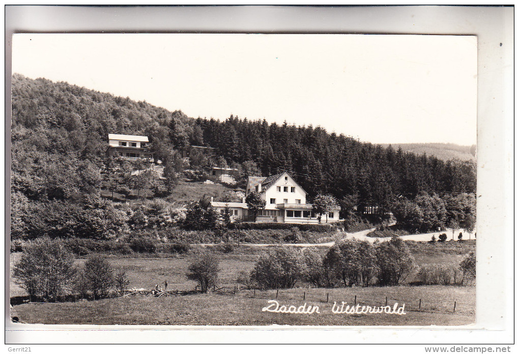 5244 DAADEN, Ausflugslokal 196... - Betzdorf